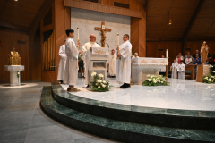 Notre-Dame-100-7757