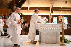 Notre-Dame-100-7823