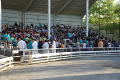 Six-Flags-2419