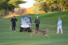 Golf-Outing-2415