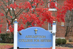 Assumption0476