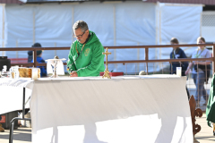 Scout-Mass7462