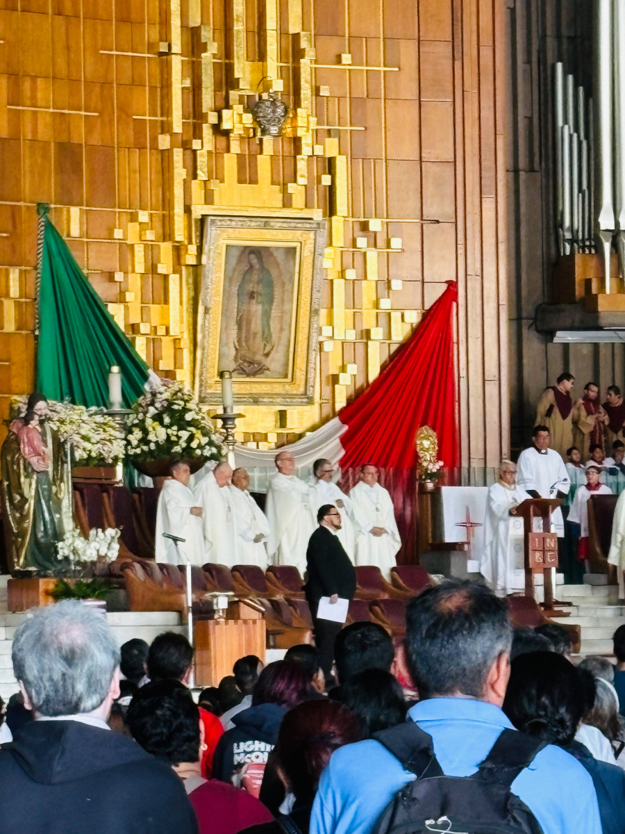 Guadalupe_07