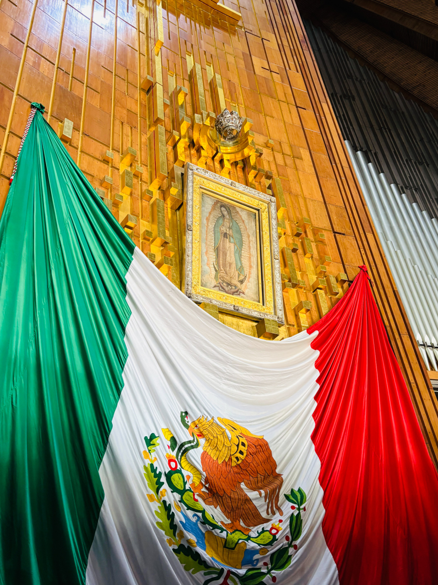Guadalupe_09