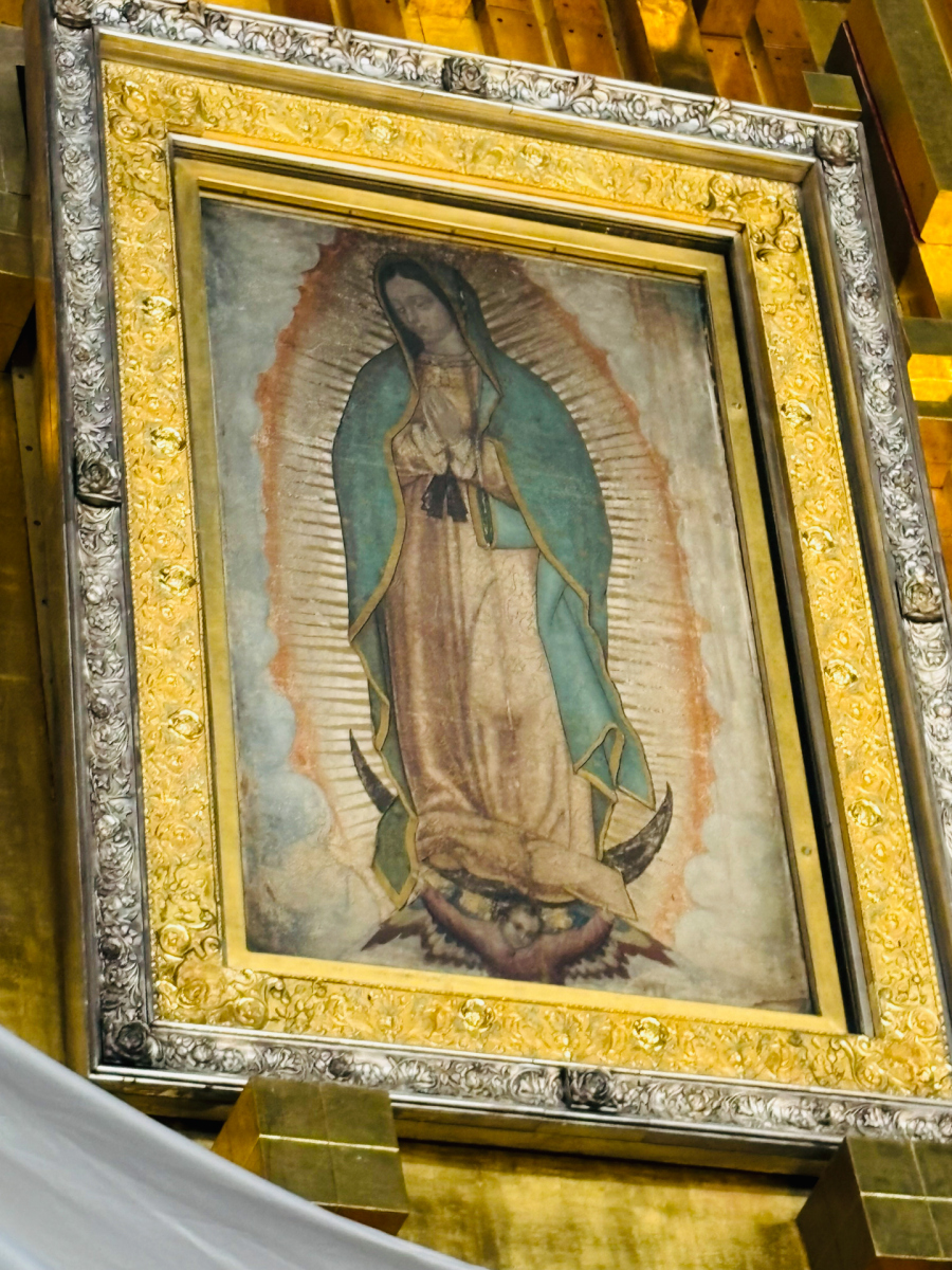 Guadalupe_10