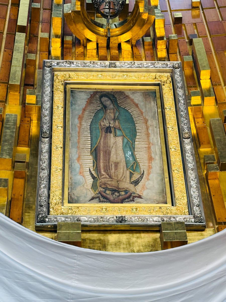 Guadalupe_11