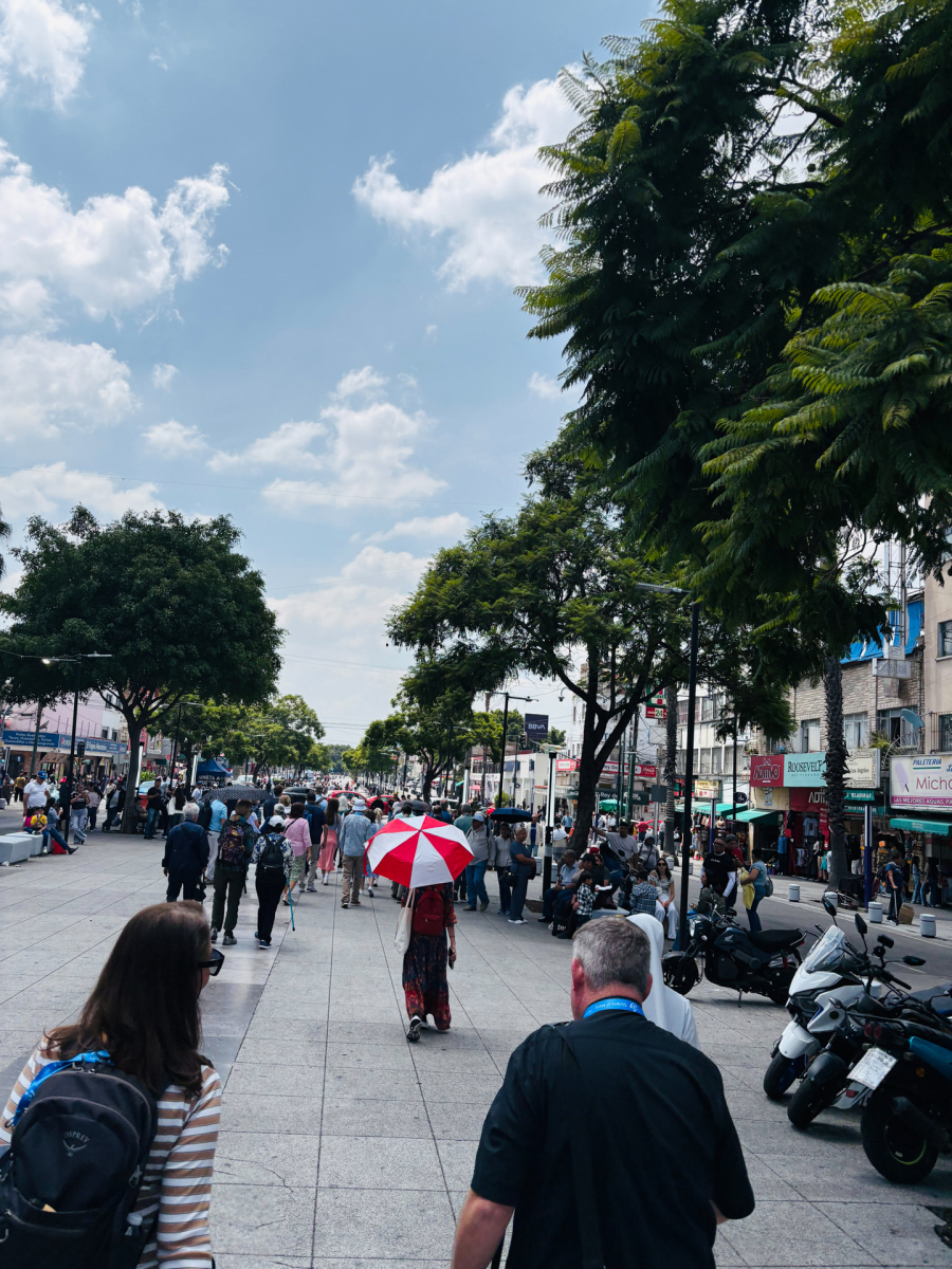 Guadalupe_16