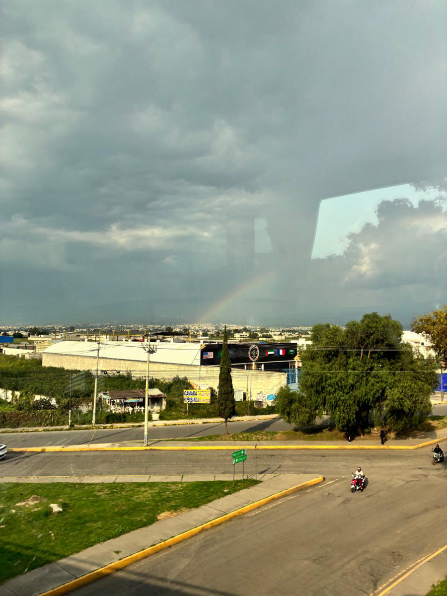 Guadalupe_34