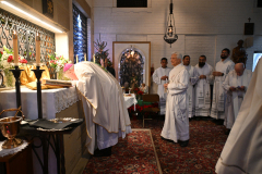 Carmelite-Profession-5724
