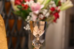 Carmelite-Profession-8275