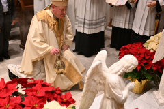 Cathedral-Christmas-3878