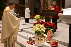 Cathedral-Christmas-3950