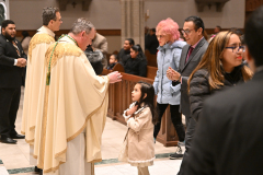 Cathedral-Christmas-5879