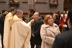 Cathedral-Christmas-5926