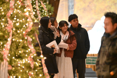 Cathedral-Christmas-6061