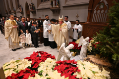 Cathedral-Christmas-6506