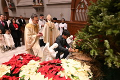 Cathedral-Christmas-6536