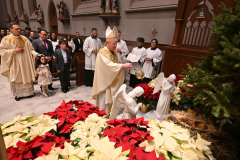 Cathedral-Christmas-6567