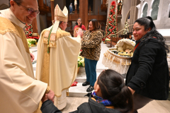 Cathedral-Christmas-6602