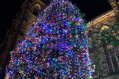 Cathedral-Christmas-6679