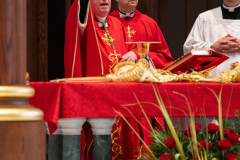 Cathedral-Palm-Sunday-36