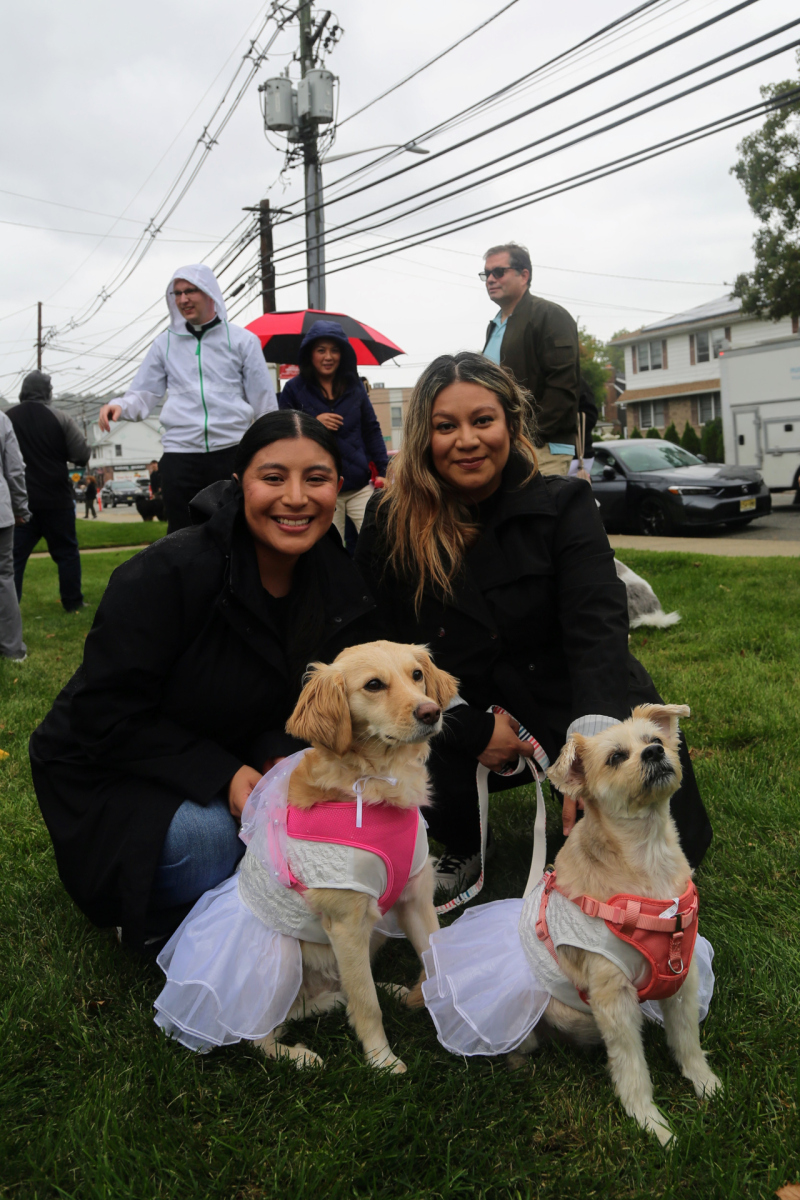 PetBlessing_1409