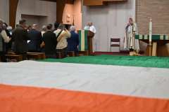 Tricolors-8134