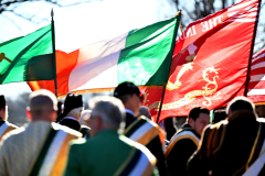 Tricolors-8262