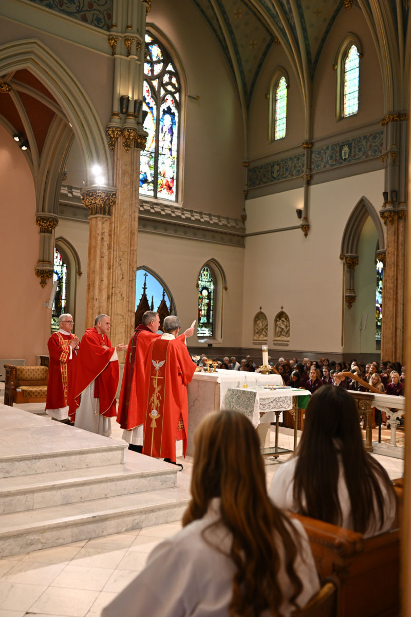 AcadStE_6196