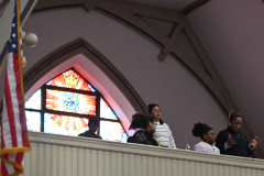 OLV-4243