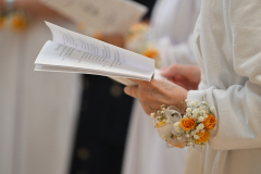 Salesian-Sisters-0240
