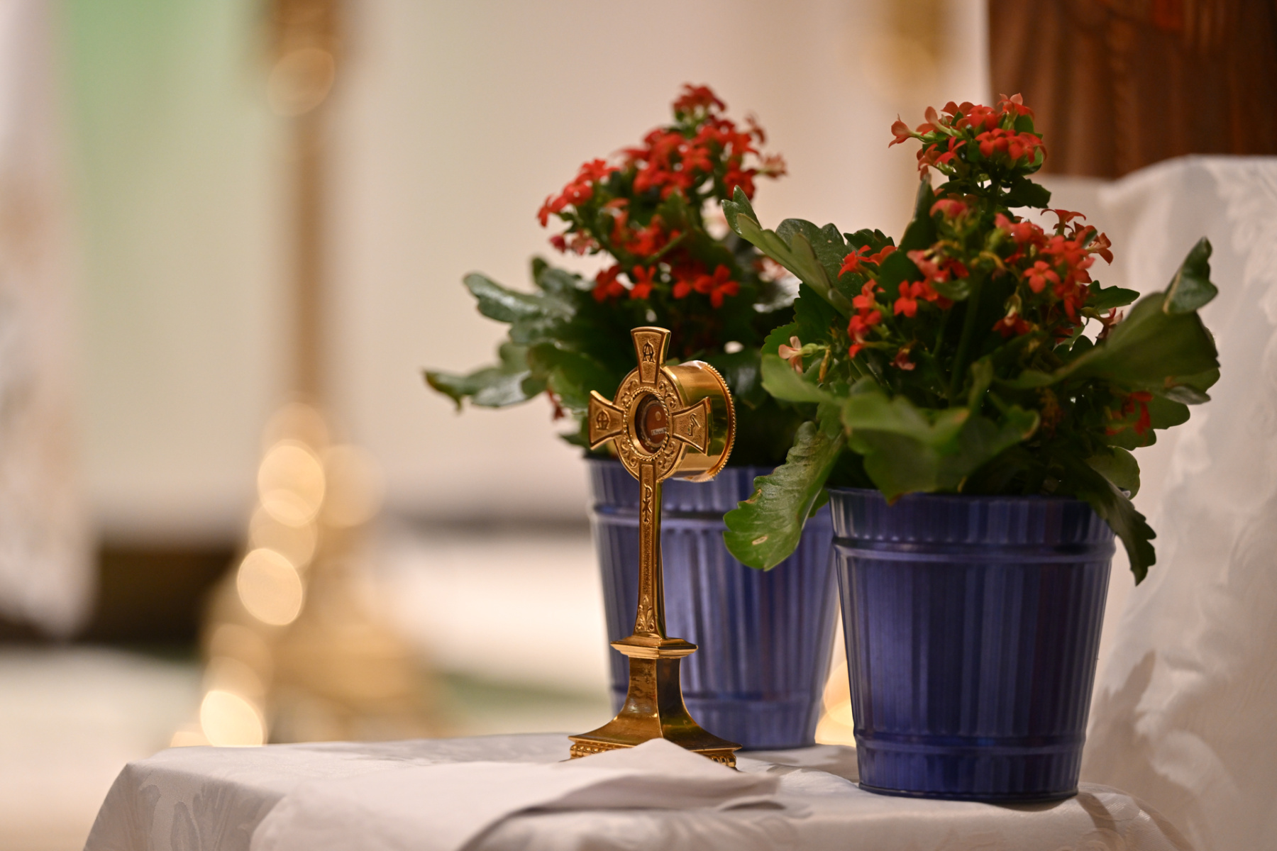 StFrancis_5238